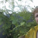 ���� �����, �������, 65 ��� - ��������� 10 ��� 2015 � ������ ���� ����������