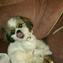 ���� �������, ��������������, 52 ���� - ��������� 18 ���� 2015 � ������ ������ ��������