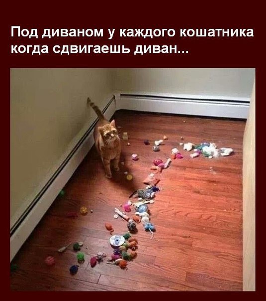    - 25  2015  18:14