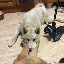 ���� ����, ������, 58 ��� - ��������� 21 ��� 2015 � ������ ���� ����������