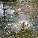 ���� ������, ��� - ��������� 24 �������� 2015 � ������ ���� ����������