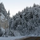 ���� �����, ����������, 59 ��� - ��������� 31 ��� 2015 � ������ ������ ��������