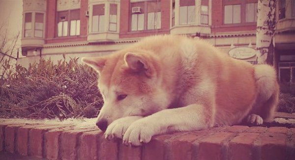 ты ведь знаешь, что ничего не изменится, но почему-то все равно продолжаешь ждать