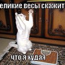 ���� ������, ��������� - ��������� 29 ������� 2015 � ������ ������ ��������