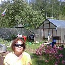 �� ���� � ����� ���� 2015 � �������� �� ������� ���� ����������