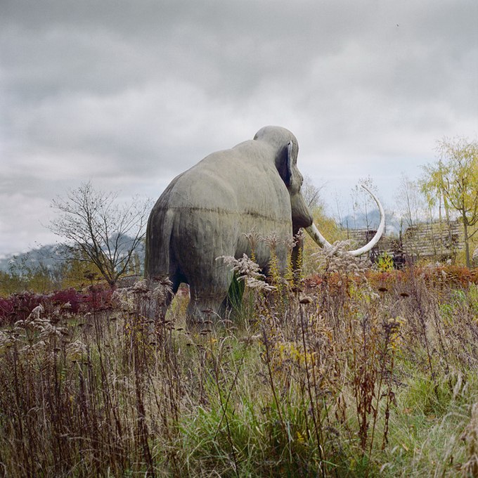   (Simen Johan)  ,    .     1973 ... - 5