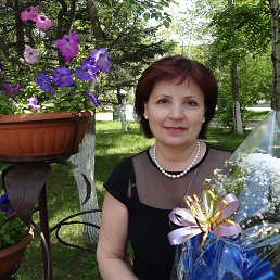 ��������, ������� ������, 66 ���