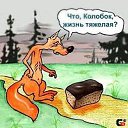 ���� ����, ����������, 45 ��� - ��������� 8 ���� 2015 � ������ ��������� ���� � fotiko.ru�