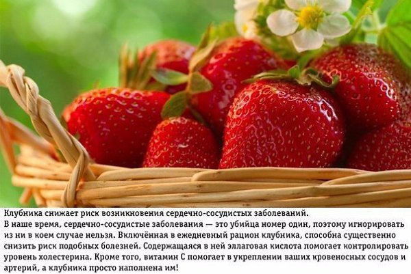 Клубника не только имеет восхитительный вкус, но и незаменима в уходе за собой!!! Читай о свойствах ... - 6