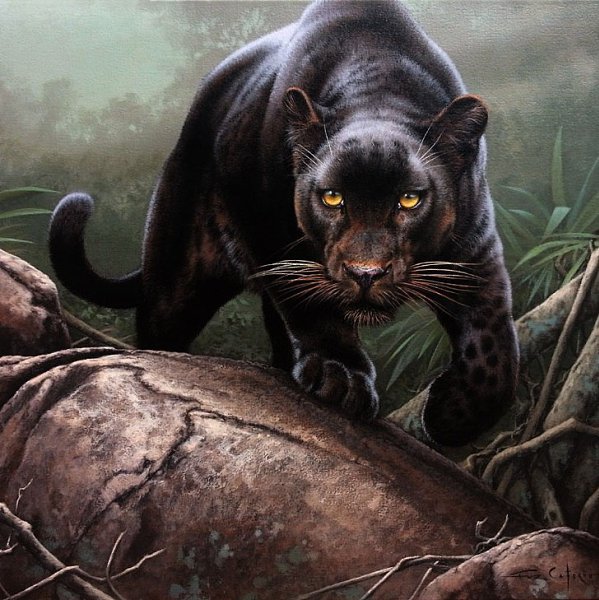  Fabrizio Caforio. - 2