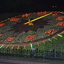 ���� �������, ������, 40 ��� - ��������� 15 ���� 2015 � ������ ���� ����������