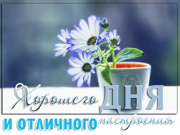  - 28  2015  06:39