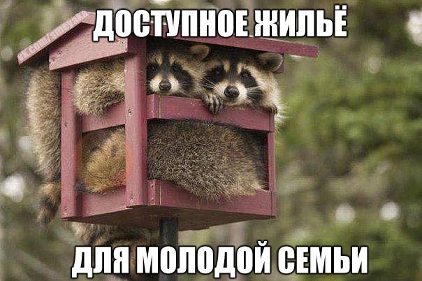    :-) - 22  2015  19:01