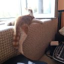 ������� �� ������� ���