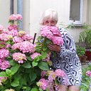 ���� ����, �����������, 61 ��� - ��������� 26 ���� 2015 � ������ ���� ����������