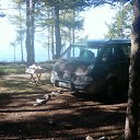 ���� ������, �������, 60 ��� - ��������� 25 ������� 2015 � ������ ���� ����������