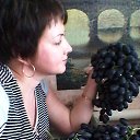 ���� Elena, ������� - ��������� 17 �������� 2015 � ������ ���� ����������