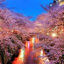 ���� ������, ������, 72 ���� - ��������� 22 ���� 2015 � ������ ���� ���� ������