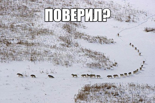   ...  ,   30%     - . ,  .   ...