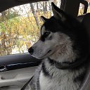 ���� �����, �����-��������� - ��������� 16 �������� 2015 � ������ ������ ��������