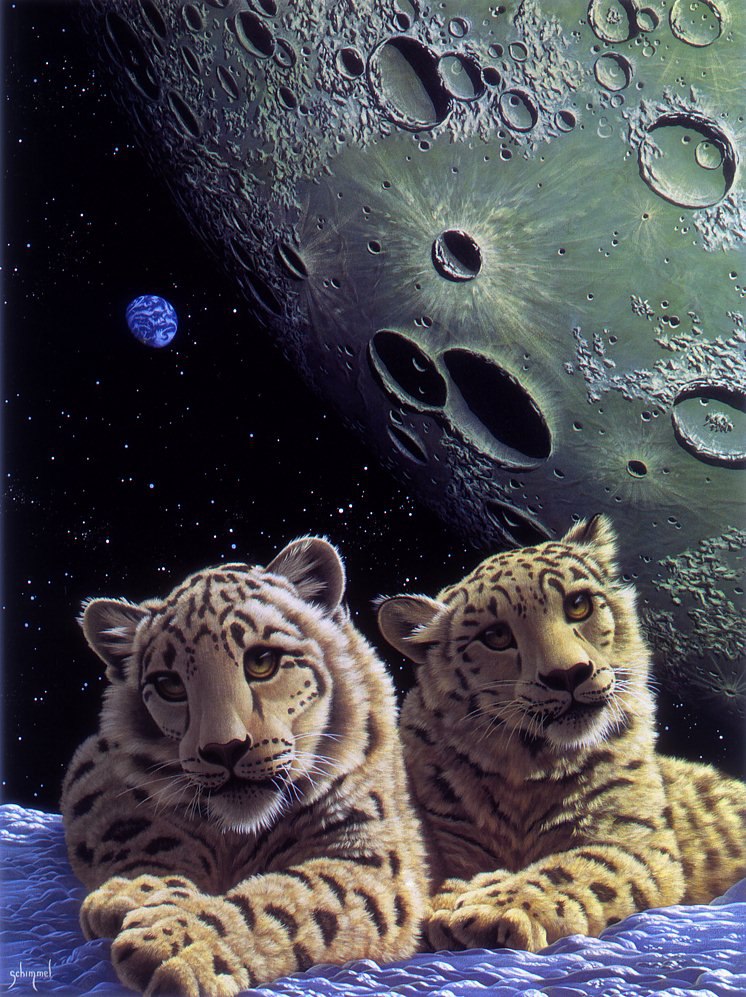 I see, I hear... (  ,   ) - 27  2015  15:14 - 44