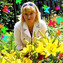 ���� 🌺🌹🏵️🌻�������, �������, 48 ��� - ��������� 27 ���� 2015 � ������ ������ ��������