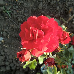 Www, �������, 60 ���