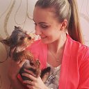 ���� ���������, ���������, 33 ���� - ��������� 5 ������� 2015 � ������ ���� ����������