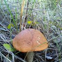 ���� �������, ������� - ��������� 6 �������� 2015 � ������ ���������))))�