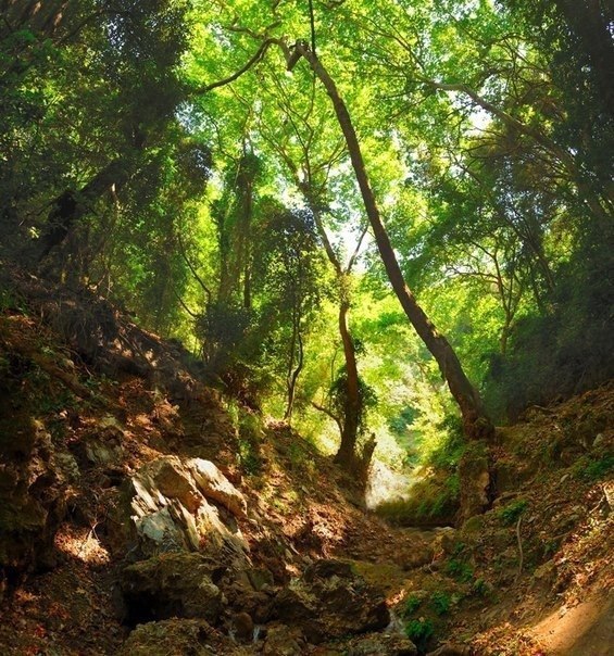 Господи дай нам глаза, которые видят в людях лучшее, Сердце, которое будет прощать худшее, Ум, что ... - 2