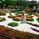 �������� ������ � 175 ����� �.�.�����������,�.����,2015 �. �� ������� ���� ����������