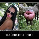 ���� ��������, ���������, 46 ��� - ��������� 2 ���� 2015 � ������ ���� ����������