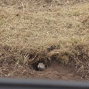 �������� ��������� ������. �� ������� ���� ����������