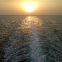 ���� �.�, ����, 60 ��� - ��������� 9 ���� 2015