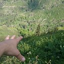 ���� Roman, ������ - ��������� 11 ���� 2015 � ������ ���� ����������