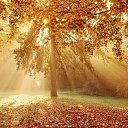 ���� �����, ����������, 40 ��� - ��������� 13 �������� 2015 � ������ ������ ��������