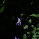 ���� Sergeyip, ������, 64 ���� - ��������� 17 ������� 2015 � ������ ���� ����������