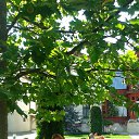 ���� Rita, �����������, 65 ��� - ��������� 21 ���� 2015 � ������ ���� ����������
