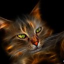 ���� �����, ����, 75 ��� - ��������� 21 ���� 2015 � ������ ���� ����������