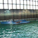 ���� ������, �����-���������, 70 ��� - ��������� 22 �������� 2015 � ������ �� ����������� �����-����������