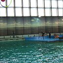 ���� ������, �����-���������, 70 ��� - ��������� 22 �������� 2015 � ������ �� ����������� �����-����������