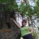 ���� ��������, ������, 48 ��� - ��������� 31 ������� 2015 � ������ ���� ����������