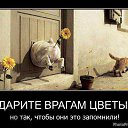 ���� Librarus, ������ ��������, 46 ��� - ��������� 28 ���� 2015 � ������ ������ ��������