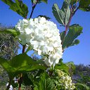 ���� H�������, ���������, 63 ���� - ��������� 11 �������� 2015 � ������ ������ ��������