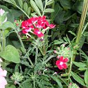  , - -  20  2015    .