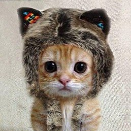 �����, ������, 39 ���