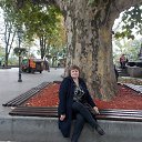 ������ ���������� ������� �� ������� ���� ����������