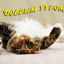 ���� ������, �����, 59 ��� - ��������� 18 ���� 2015 � ������ �������� ��������