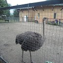 ���� �������, ���������� - ��������� 29 ���� 2015 � ������ ������ ��������