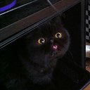 ���� O.l., �����, 59 ��� - ��������� 29 ��� 2015 � ������ ���� ����������